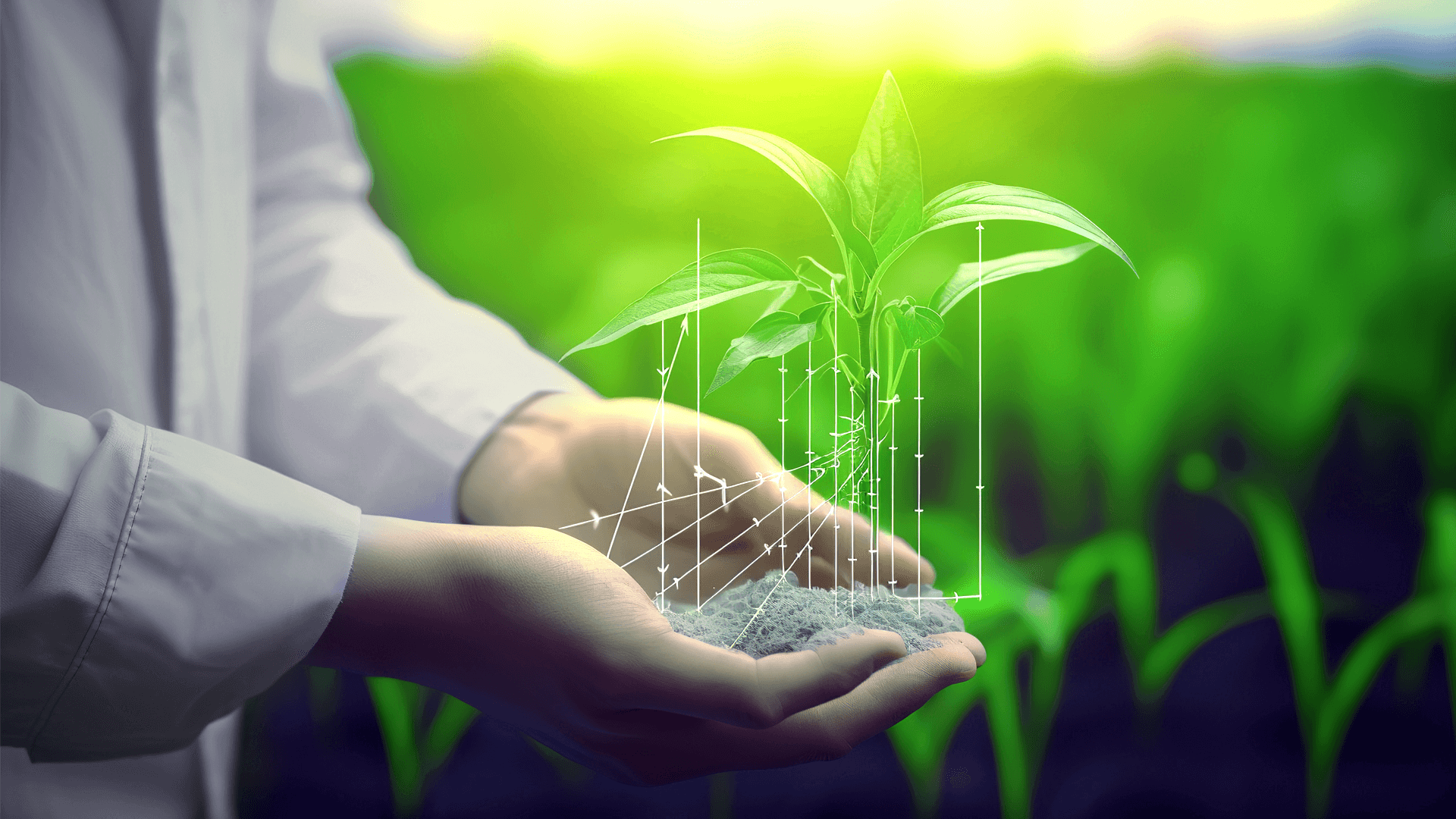 Benefits of IoT-Integrated Fertigation Systems